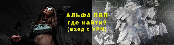 СК Зеленокумск
