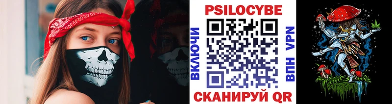 Купить где  Мончегорск  Галлюциногенные грибы Psilocybe 